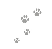 Иллюстрация к книге — Духовный мир животных [i_002.jpg]