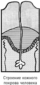 Иллюстрация к книге — Наука раскрытия преступлений [i_005.jpg]