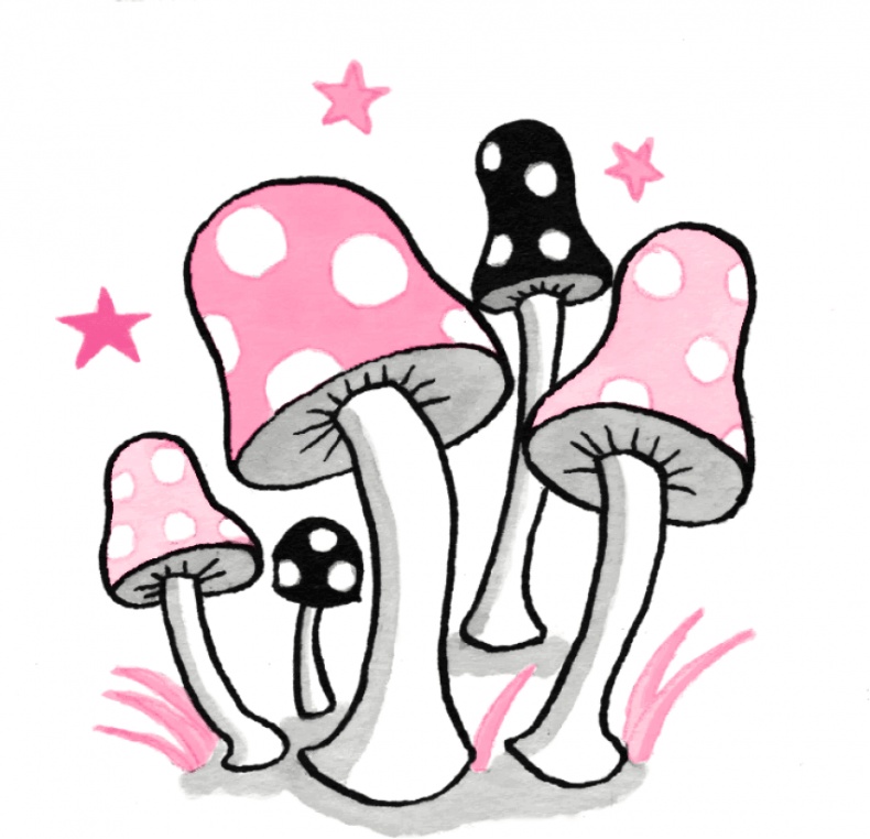 Иллюстрация к книге — Очень необычная фея [i_036.jpg]