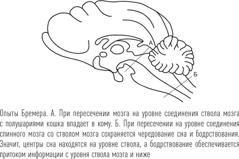 Иллюстрация к книге — Загадки сна [i_030.jpg]