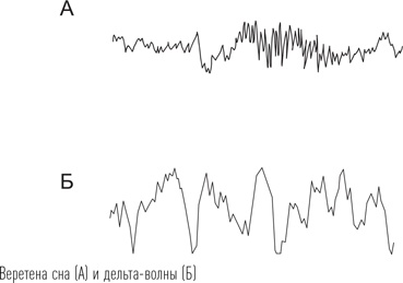 Иллюстрация к книге — Загадки сна [i_032.jpg]