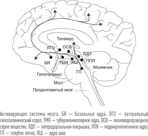 Иллюстрация к книге — Загадки сна [i_033.jpg]
