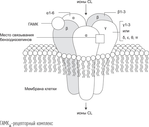 Иллюстрация к книге — Загадки сна [i_061.jpg]