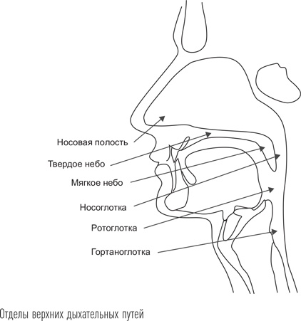 Иллюстрация к книге — Загадки сна [i_069.jpg]