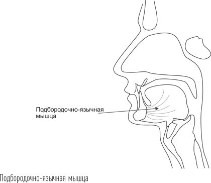Иллюстрация к книге — Загадки сна [i_074.jpg]