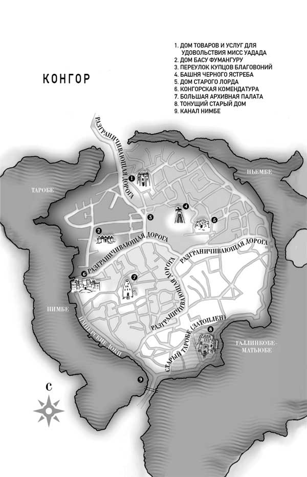 Иллюстрация к книге — Черный Леопард, Рыжий Волк [i_003.jpg]