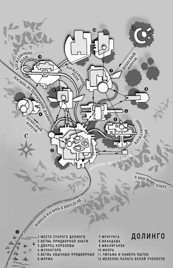 Иллюстрация к книге — Черный Леопард, Рыжий Волк [i_004.jpg]