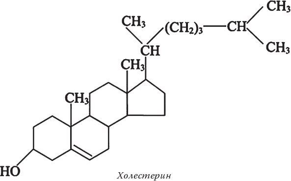 Иллюстрация к книге — Кожа: мифы и правда о самом большом органе [i_034.jpg]