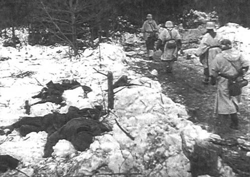 Иллюстрация к книге — Битва в тупике. Погостье. 1941-1942 [_063.jpg]