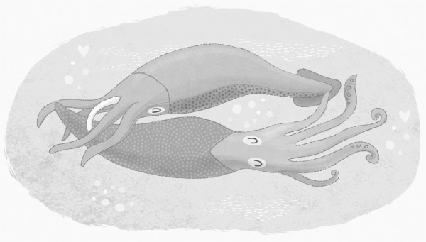 Иллюстрация к книге — Секс в океане или Тайна зарождения жизни [i_006.jpg]