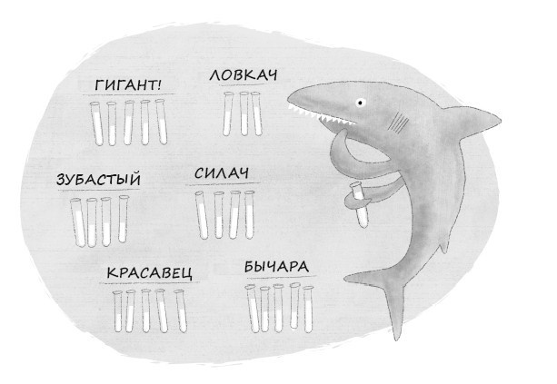 Иллюстрация к книге — Секс в океане или Тайна зарождения жизни [i_008.jpg]