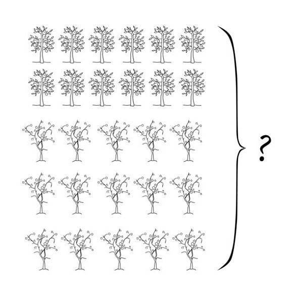 Иллюстрация к книге — 38 типов задач начальной школы и как их решать [image042temp.jpg]