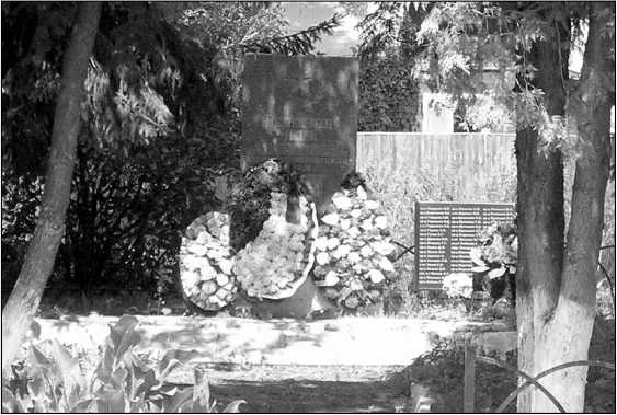 Иллюстрация к книге — Яхромский мост: Крах «Тайфуна» [i_110.jpg]