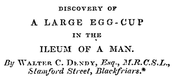 Иллюстрация к книге — Безумная медицина. Странные заболевания и не менее странные методы лечения в истории медицины [i_012.jpg]