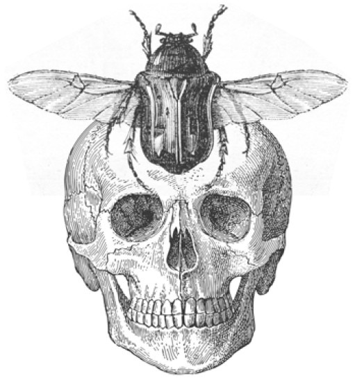 Иллюстрация к книге — Безумная медицина. Странные заболевания и не менее странные методы лечения в истории медицины [i_066.jpg]