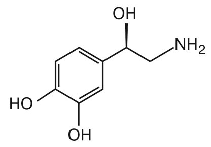 Иллюстрация к книге — Мозг. Инструкция пользователя [i_012.jpg]
