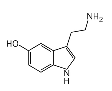 Иллюстрация к книге — Мозг. Инструкция пользователя [i_013.jpg]