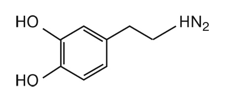 Иллюстрация к книге — Мозг. Инструкция пользователя [i_015.jpg]