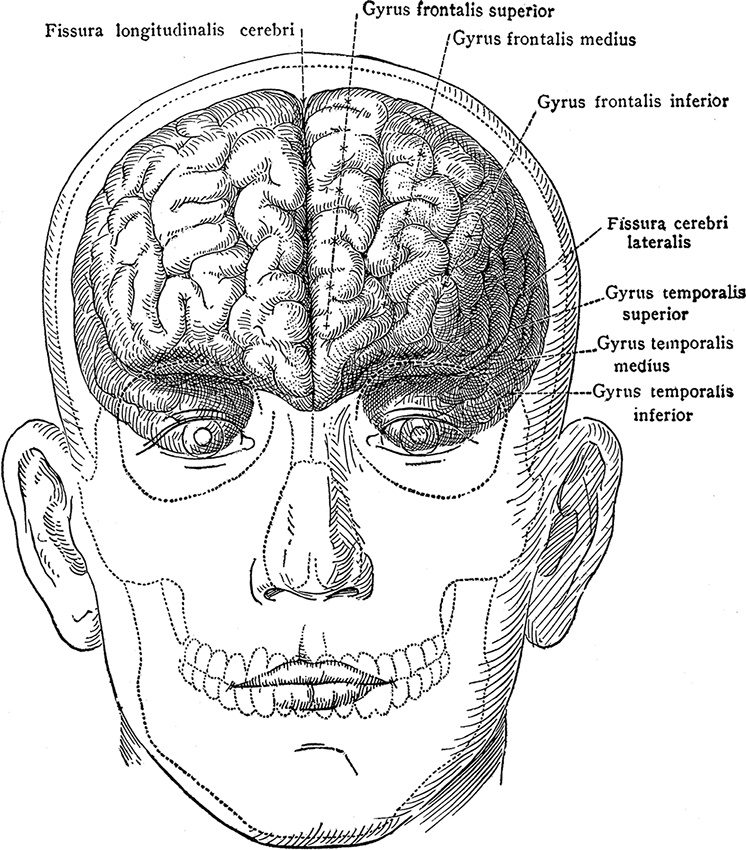 Иллюстрация к книге — Прайс-менеджмент [i_113.jpg]
