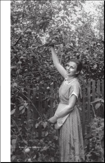 Иллюстрация к книге — На берегах утопий [i_013.jpg]