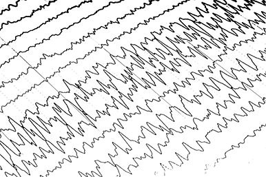 Иллюстрация к книге — Предрассудки о здоровье. Жить надо с умом и правильно [i_005.jpg]