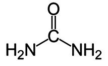 Иллюстрация к книге — Предрассудки о здоровье. Жить надо с умом и правильно [i_009.jpg]
