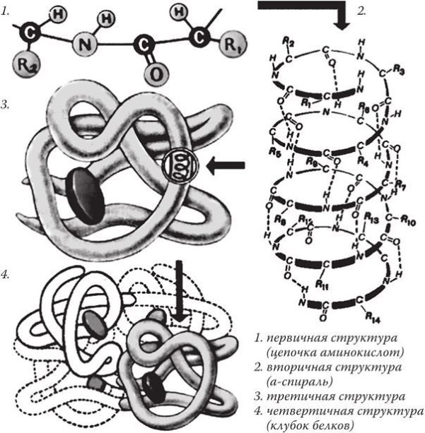 Иллюстрация к книге — Предрассудки о здоровье. Жить надо с умом и правильно [i_015.jpg]