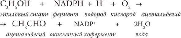 Иллюстрация к книге — Предрассудки о здоровье. Жить надо с умом и правильно [i_021.jpg]