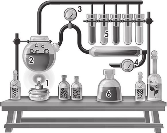 Иллюстрация к книге — Предрассудки о здоровье. Жить надо с умом и правильно [i_023.jpg]