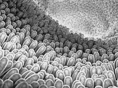 Иллюстрация к книге — Предрассудки о здоровье. Жить надо с умом и правильно [i_026.jpg]