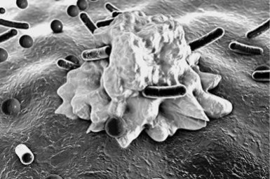 Иллюстрация к книге — Предрассудки о здоровье. Жить надо с умом и правильно [i_051.jpg]