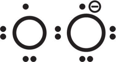 Иллюстрация к книге — Предрассудки о здоровье. Жить надо с умом и правильно [i_052.jpg]