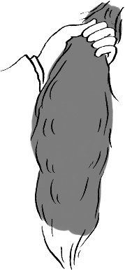 Иллюстрация к книге — Как мама была маленькой [i_051.jpg]