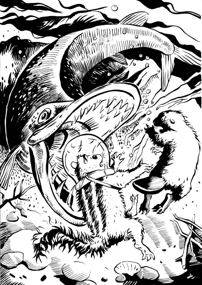 Иллюстрация к книге — Бурундучок по имени Сим. Сим – мореход  [i_006.jpg]