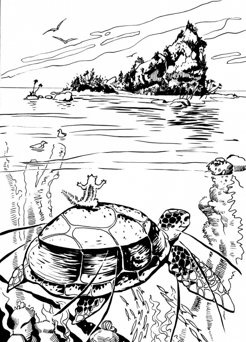 Иллюстрация к книге — Бурундучок по имени Сим. Сим – мореход  [i_008.jpg]