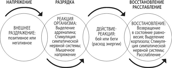 Иллюстрация к книге — Воспитывать, не повышая голоса. Как вернуть себе спокойствие, а детям – детство [i_017.jpg]
