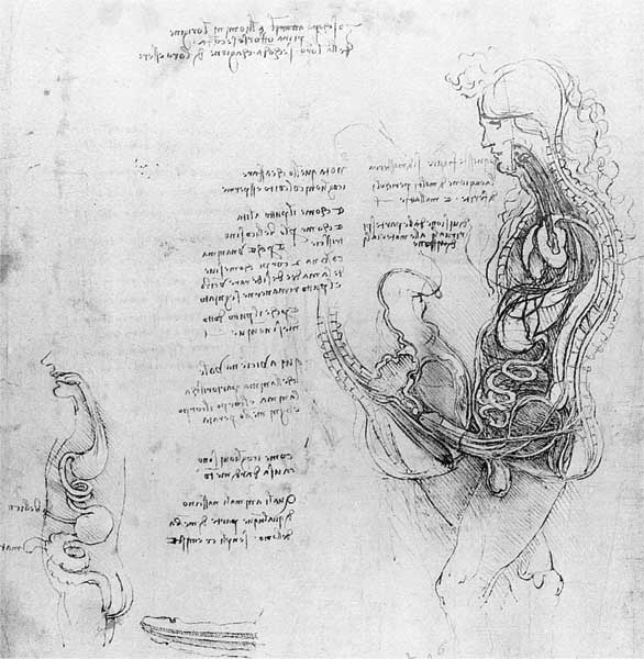 Иллюстрация к книге — Метаморфозы. Путешествие хирурга по самым прекрасным и ужасным изменениям человеческого тела [i_003.jpg]