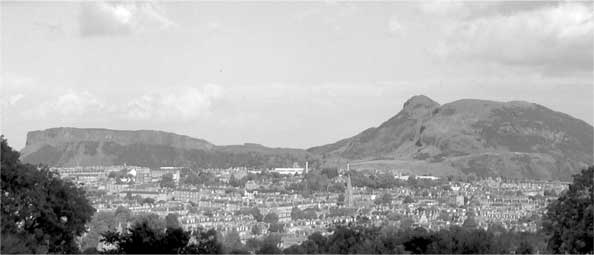 Иллюстрация к книге — Метаморфозы. Путешествие хирурга по самым прекрасным и ужасным изменениям человеческого тела [i_034.jpg]