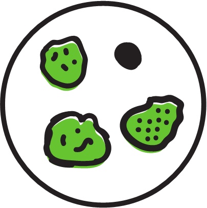 Иллюстрация к книге — Не держи в себе: Недостойный процесс, достойный понимания [i_024.jpg]