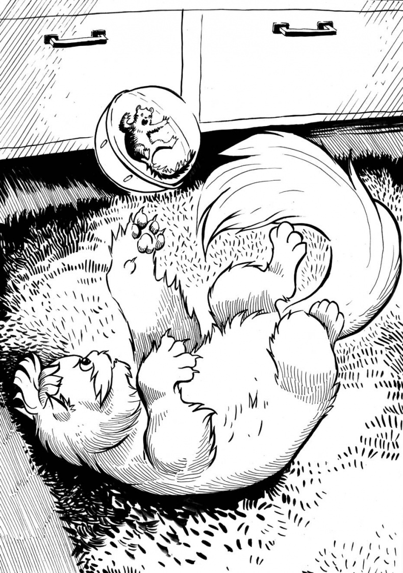 Иллюстрация к книге — Бурундучок по имени Сим. Сим и великаны [i_006.jpg]