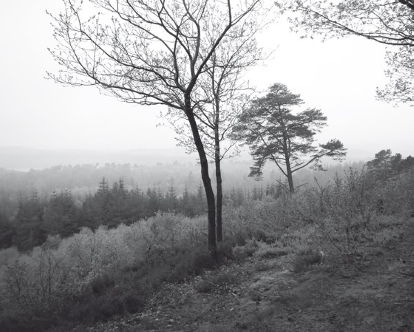 Иллюстрация к книге — Дом на хвосте паровоза. Путеводитель по Европе в сказках Андерсена [i_067.jpg]