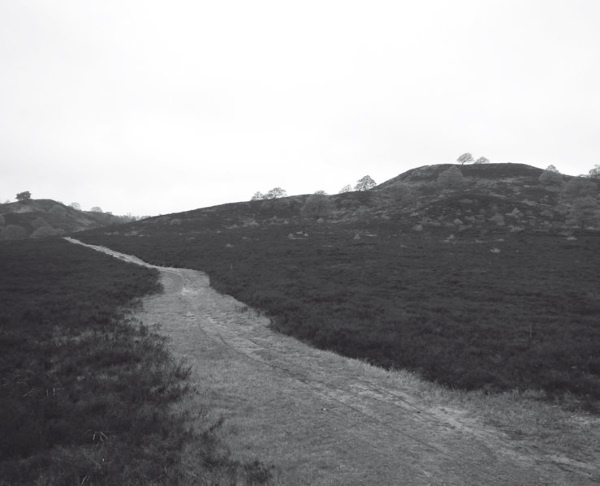 Иллюстрация к книге — Дом на хвосте паровоза. Путеводитель по Европе в сказках Андерсена [i_068.jpg]