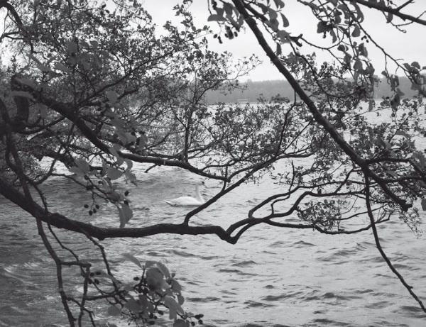 Иллюстрация к книге — Дом на хвосте паровоза. Путеводитель по Европе в сказках Андерсена [i_092.jpg]