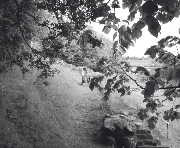 Иллюстрация к книге — Дом на хвосте паровоза. Путеводитель по Европе в сказках Андерсена [i_094.jpg]