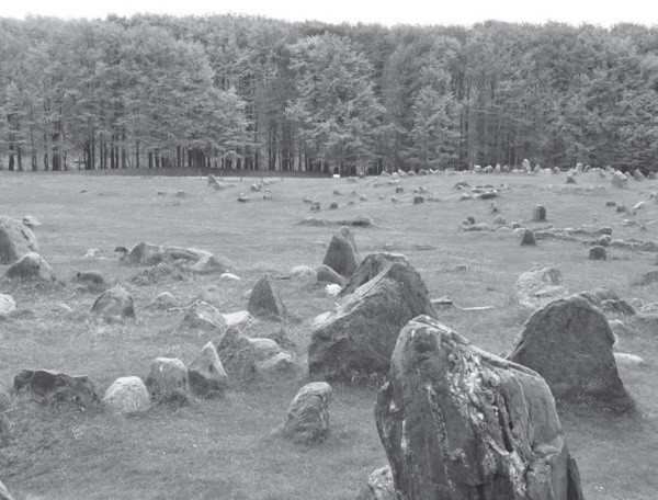 Иллюстрация к книге — Дом на хвосте паровоза. Путеводитель по Европе в сказках Андерсена [i_099.jpg]