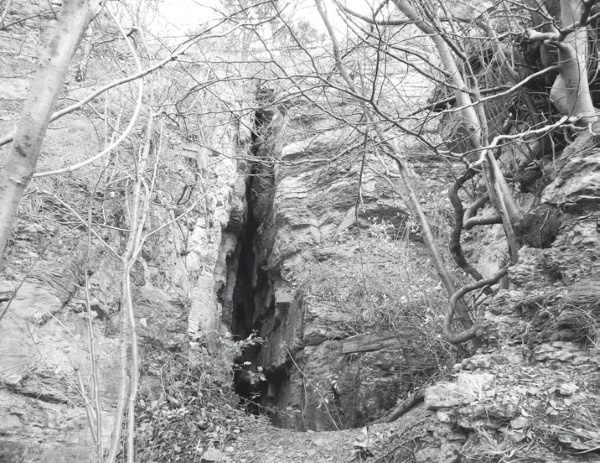 Иллюстрация к книге — Дом на хвосте паровоза. Путеводитель по Европе в сказках Андерсена [i_106.jpg]