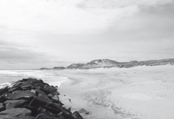 Иллюстрация к книге — Дом на хвосте паровоза. Путеводитель по Европе в сказках Андерсена [i_122.jpg]
