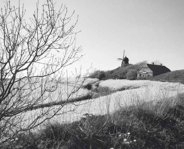 Иллюстрация к книге — Дом на хвосте паровоза. Путеводитель по Европе в сказках Андерсена [i_133.jpg]