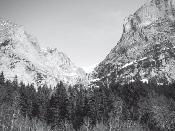 Иллюстрация к книге — Дом на хвосте паровоза. Путеводитель по Европе в сказках Андерсена [i_142.jpg]