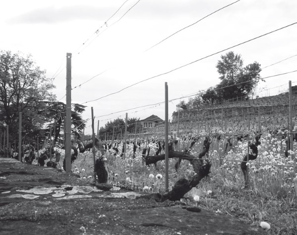 Иллюстрация к книге — Дом на хвосте паровоза. Путеводитель по Европе в сказках Андерсена [i_162.jpg]